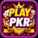 PLAYPKR Game