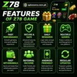 Z78 Game