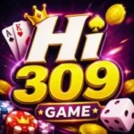 HI309 Game