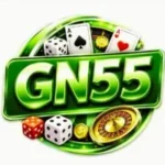GN55 Game
