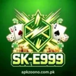 SK E999 Game